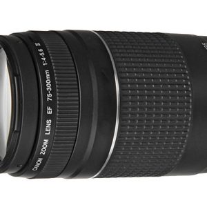 Canon EF 75-300mm F/4-5.6 III Lens